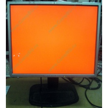 Монитор 19" TFT HP 1955 (DVI в Измайлово, USB-хаб) "квадратный" (Измайлово)