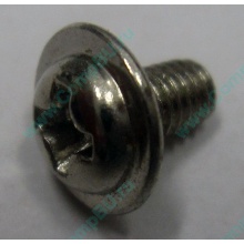 Компьютерный винт "малый" PW-M3x6mm (Измайлово)