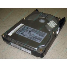 Жесткий диск 18.4Gb Quantum Atlas 10K III U160 SCSI 80 pin (Измайлово)