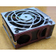 HP 224977 (224978-001) for Proliant ML370 G2/G3/G4 (Измайлово).