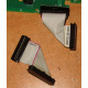 6017B0045701 Шлейф 24pin для Intel C74974-401 T0043401-B01 корпуса SR2400 (Измайлово)
