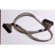 Intel 6017B0045301 в Измайлово, 68 pin SCSI кабель 26.5" / 57см для корзины HDD корпуса SR2400 (Измайлово)