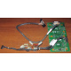 Корзина 59P5159 24P2578 IBM X225 / X226 / X235 / X255 / X266 xSeries servers FRU59P5159 FRU24P2578 (Измайлово)