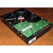 Жесткий диск 500Gb WD WD5000AAKX HP 634605-003 613208-001 7.2k SATA (Измайлово)
